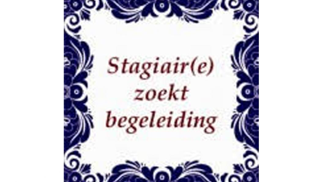 stagiair.jpg