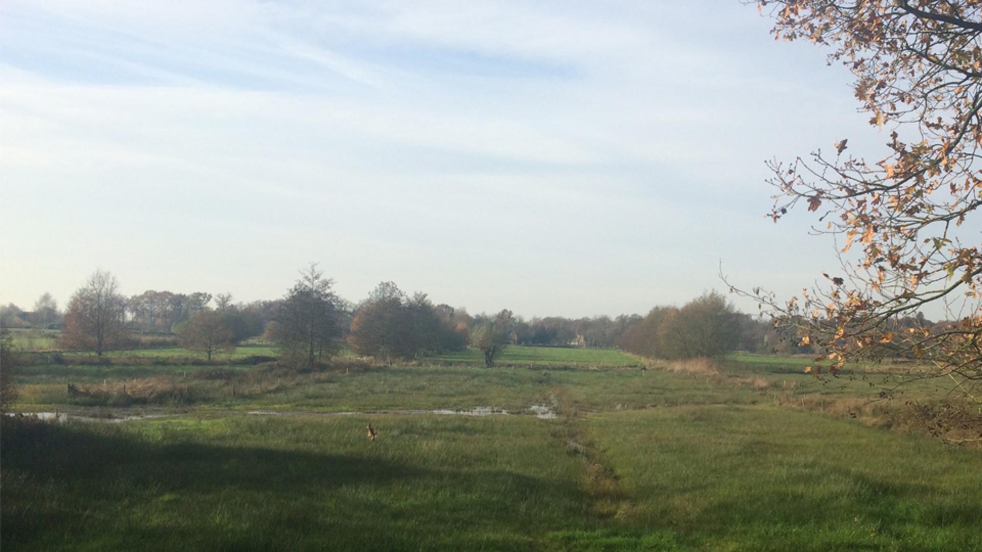 Buitengebied Breda
